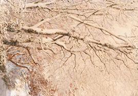 Digital Print Silk Hijab Maker